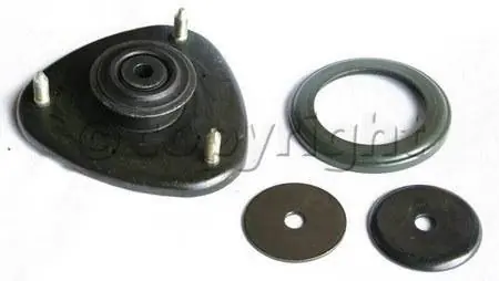 Strut Mount Exclusive Offer