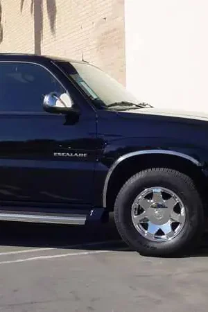 Fast Shipping TFP Fender Trim - CA-20