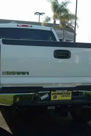 Limited Offer TFP Stainless Steel Taillight Insert Guard - 960